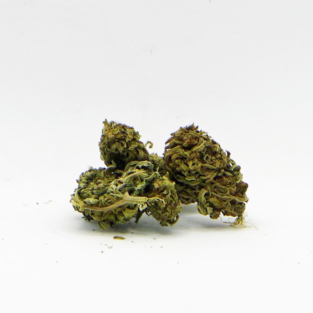 Fleurs de CBD Watermelon